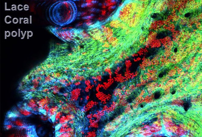 Science engineering contest 2012 14.jpg